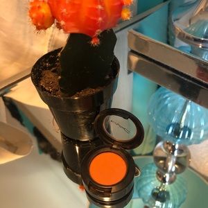 MAC eyeshadow in rule